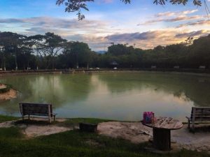 88D577B916DC4609B6C6CA40039282C3