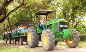 CD90422CD9704387BF1A364D5BCFC6F6