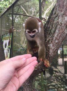 F4D5F544EA3C47F09AFEE54ED213F457