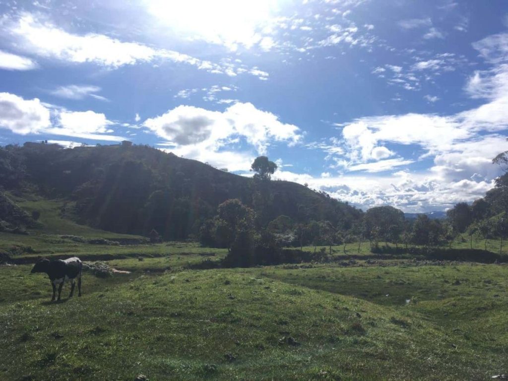 IMG 20171104 WA0005 1