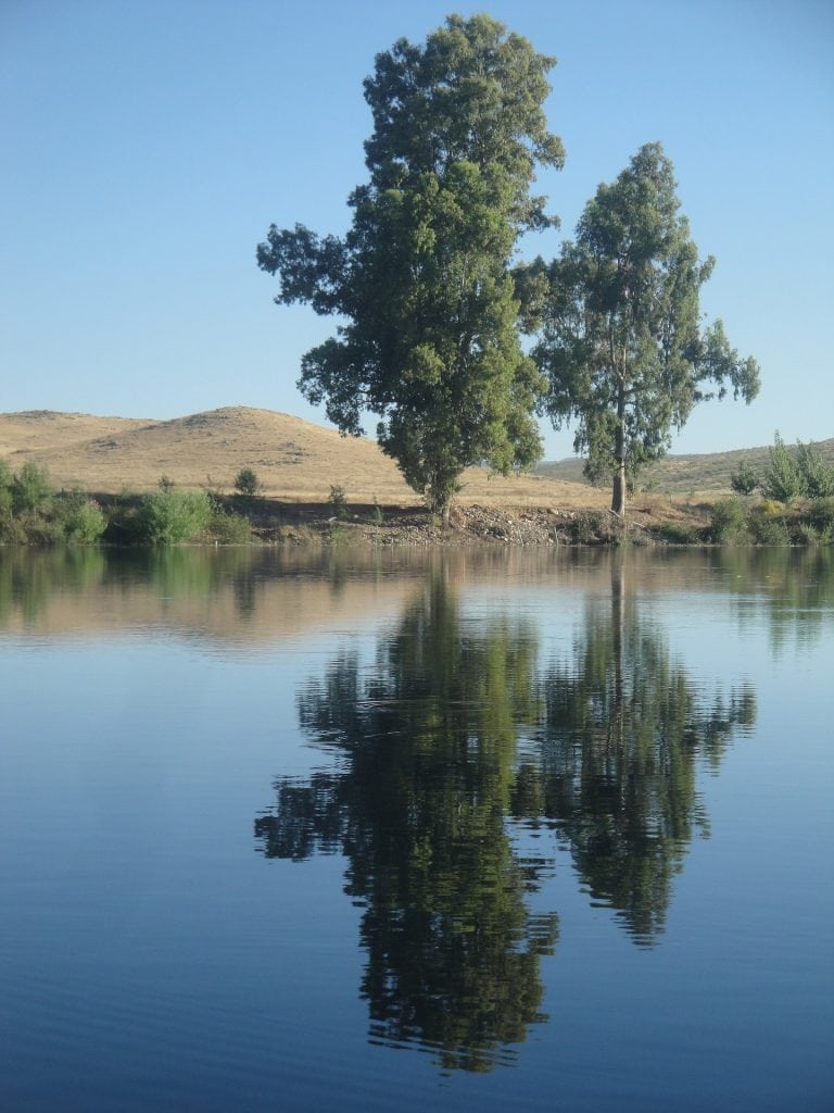 river g7bfc260b5 1920