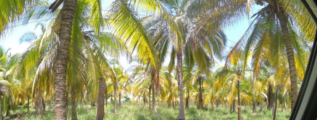 20190904 174358 0000 1