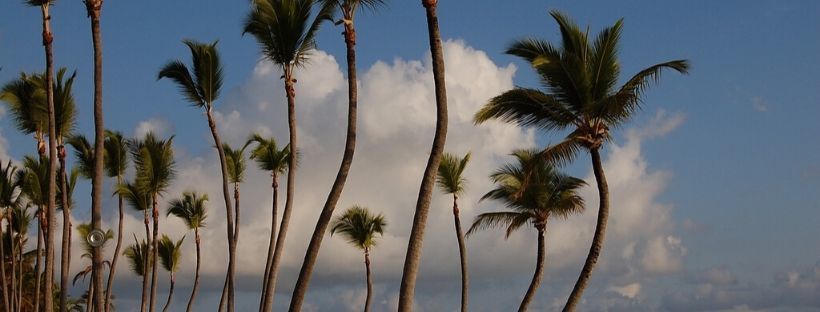 punta cana nightlife