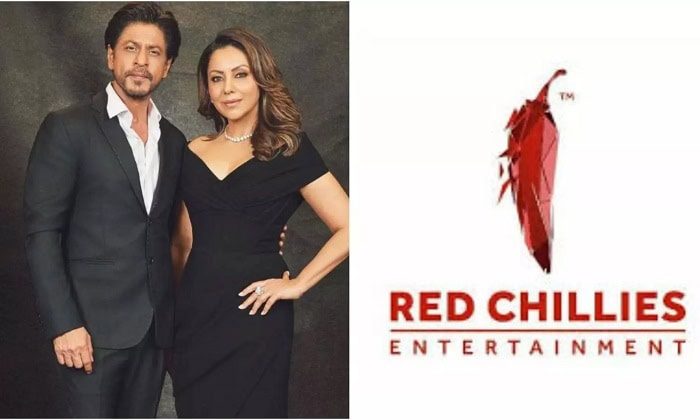 red chillies entertainment ownerdgfghh