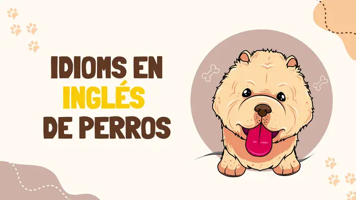Idioms and Proverbs Using Perro