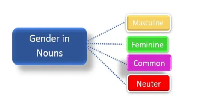 Forms of Gender and Number