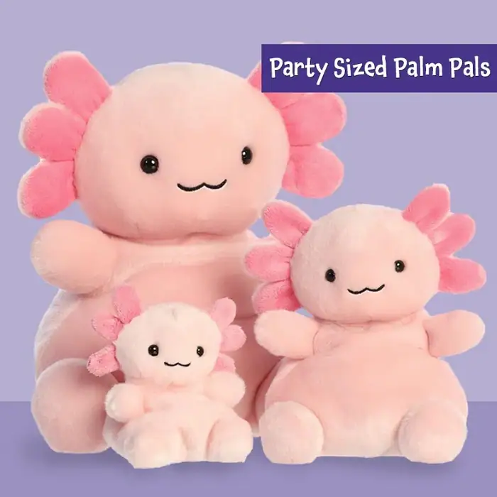 Are Palm Pals Near Me the Same as Online Ones?