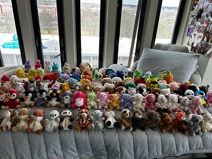 Why Do People Collect These Things?